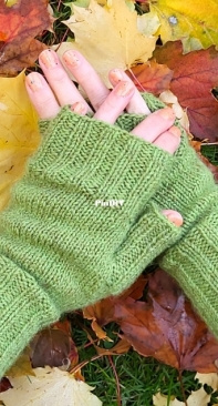 Open Finger Mittens 122 by Michelle Porter-Free