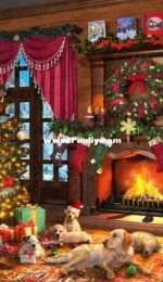 HAED HAEDOM 20180008 Christmas Puppies by Dominic Davison (Large Format)