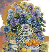 Anchor EPX61 Summer Blues