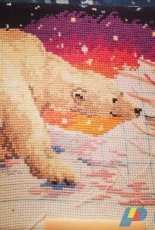 Polar bears