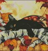 HAED HAEST4900 Black Cat by Stacy Tippin XSD