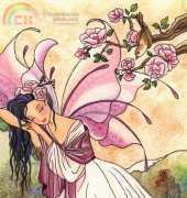 HAED HAENT 2994 Dream of the Songflower Fairy by Nadia Tate