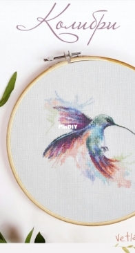 Vetlanka - Hummingbird by Svetlana Stepanova