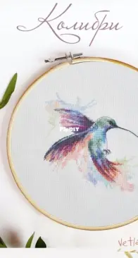 Hummingbird by Vetlanka
