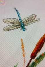 My dragonfly :3