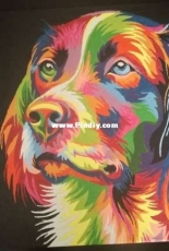 Nice dog