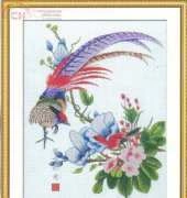 Pinn LE-57H - The Plumage Pheasant