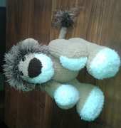 Lion RROOAARR!