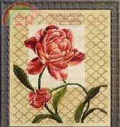 Zolotoe Runo ZR IL-001 Meeting