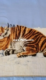 Bengal Tiger. DOME