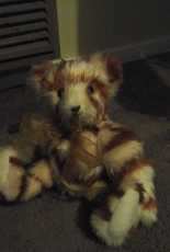 teddy
