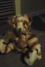 teddy