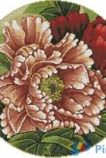 Krif 1309 Peony