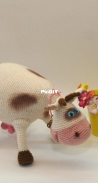 Cow