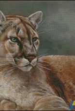 Shinysuns Cross Stitching - Cougar at Rest