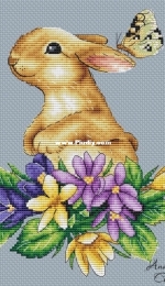 Rabbit by Anastasia Soloshenko