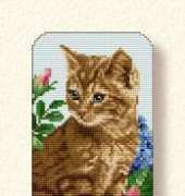 Ellen Maurer Stroh EMS 101 Eyeglass Case "Misty" PCS