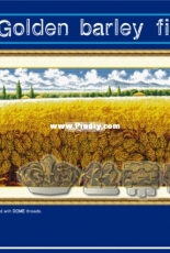 Dome 90713 - Golden Barley Field