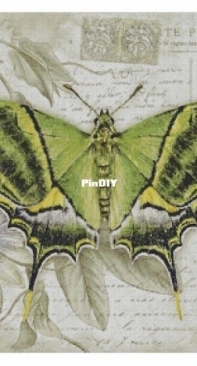 Chimera - Butterfly Vintage 10 by Jane Shasky PCS