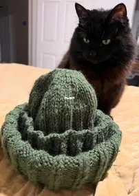 Second project complete!!