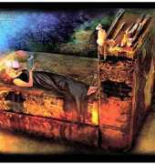 HAEAIS 139 Exlibris - Aimee Stewart