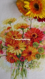 "Watercolor gerberas" (Riolis)