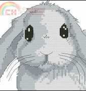 DMC K5230 Perfect Pets - Rosie