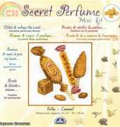 DMC BK988-10 Secret Perfume Mini Kit - Toffee - Caramel