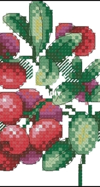 M.P. Studio - М-551 Lingonberry aroma XSD