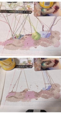 Progression de ma broderie
