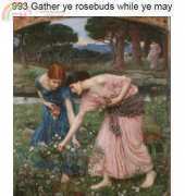 Golden Kite GK 993 Gather ye rosebuds while ye may