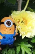 Minion