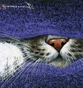 HAED HAEIAG 1251 Hiding by Irina Garmashova