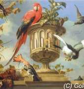 Golden Kite 2368 Scarlet Macaw