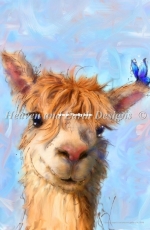 HAED TOGEL 102  Alpaca by Conni Togel XSD