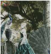 HAED HAENNT 129 Emerald Hawthorn by Nene Thomas