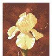 Heritage Stitchcraft Connections CNIR599 Iris by John Clayton XSD