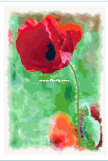 Better Cross Stitch - Red Poppy - Free