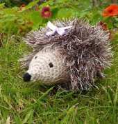 Yellow Pink and Sparkly - Janet McMahon - Heidi Hedgehog - Free