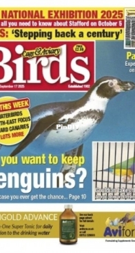 Cage & Aviary Birds - Issue 6385 September, 2025