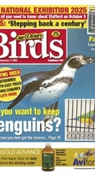 Cage and Aviary Birds - Issue 6385 - September 2025