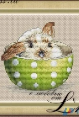 Bunny in a Cup