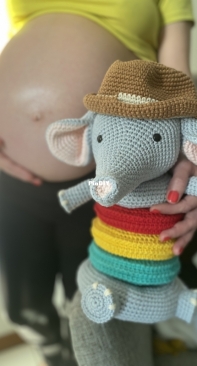Elephant with rings