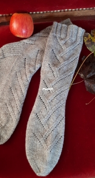 Les chaussettes des Tricocottes by Catherine Gitard-French-Free