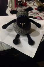 Black Sheep
