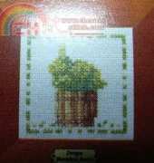 Lanarte 34547 Buxus