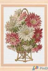 Stefy Palma - Fiori 197