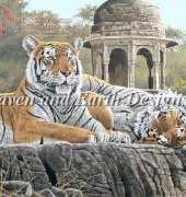 HAED HAESTG 152 Temple Tigers by Stephen Gayford