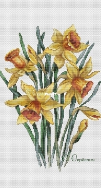Spring flowers by Ekaterina Seryogina