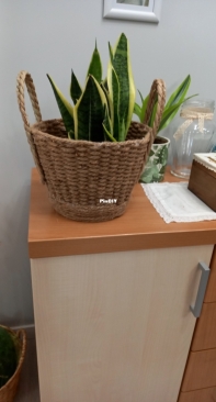 Basket
